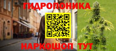 spice Будённовск