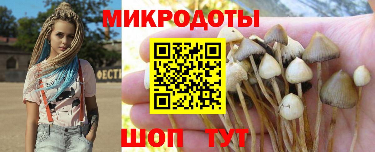 Галлюциногенные грибы мухоморы  Псилоцибиновые грибы Psilocybine cubensis  Вход с VPN  Радужный 